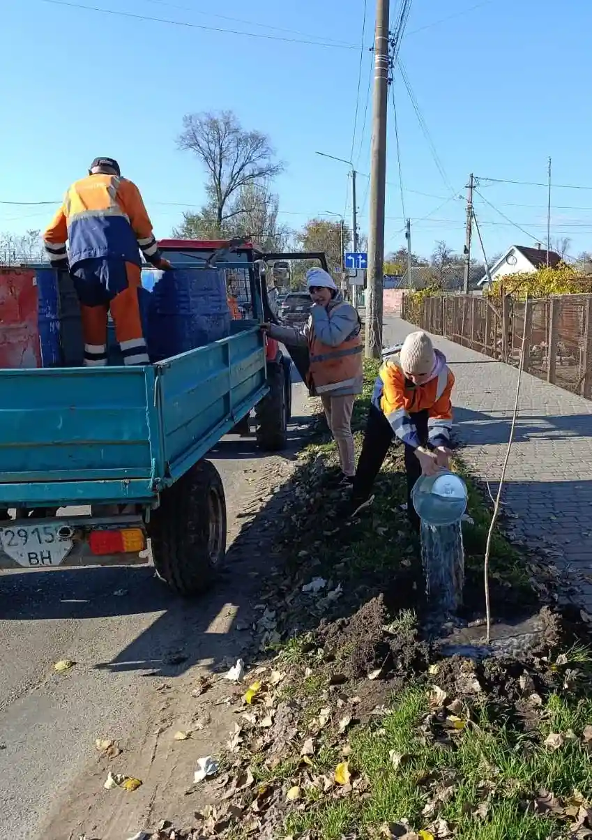 У Білгороді-Дністровському висадили сотню молодих кленів
