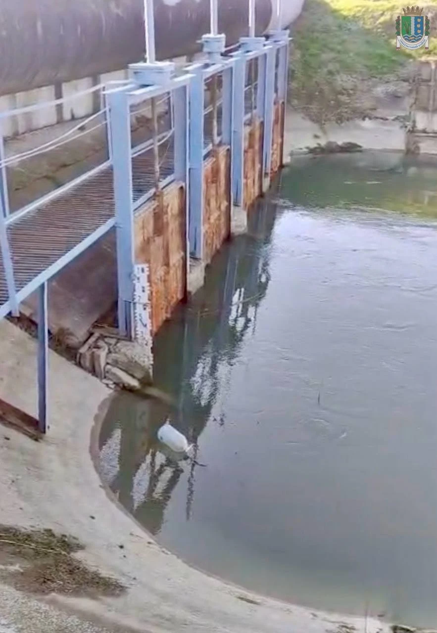 У Придунайських озерах стрімко падає рівень води: Китай опинився на межі екологічної кризи