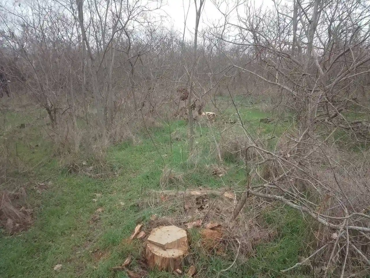 Вода подорожчала: у Болграді з початку року діють нові тарифи