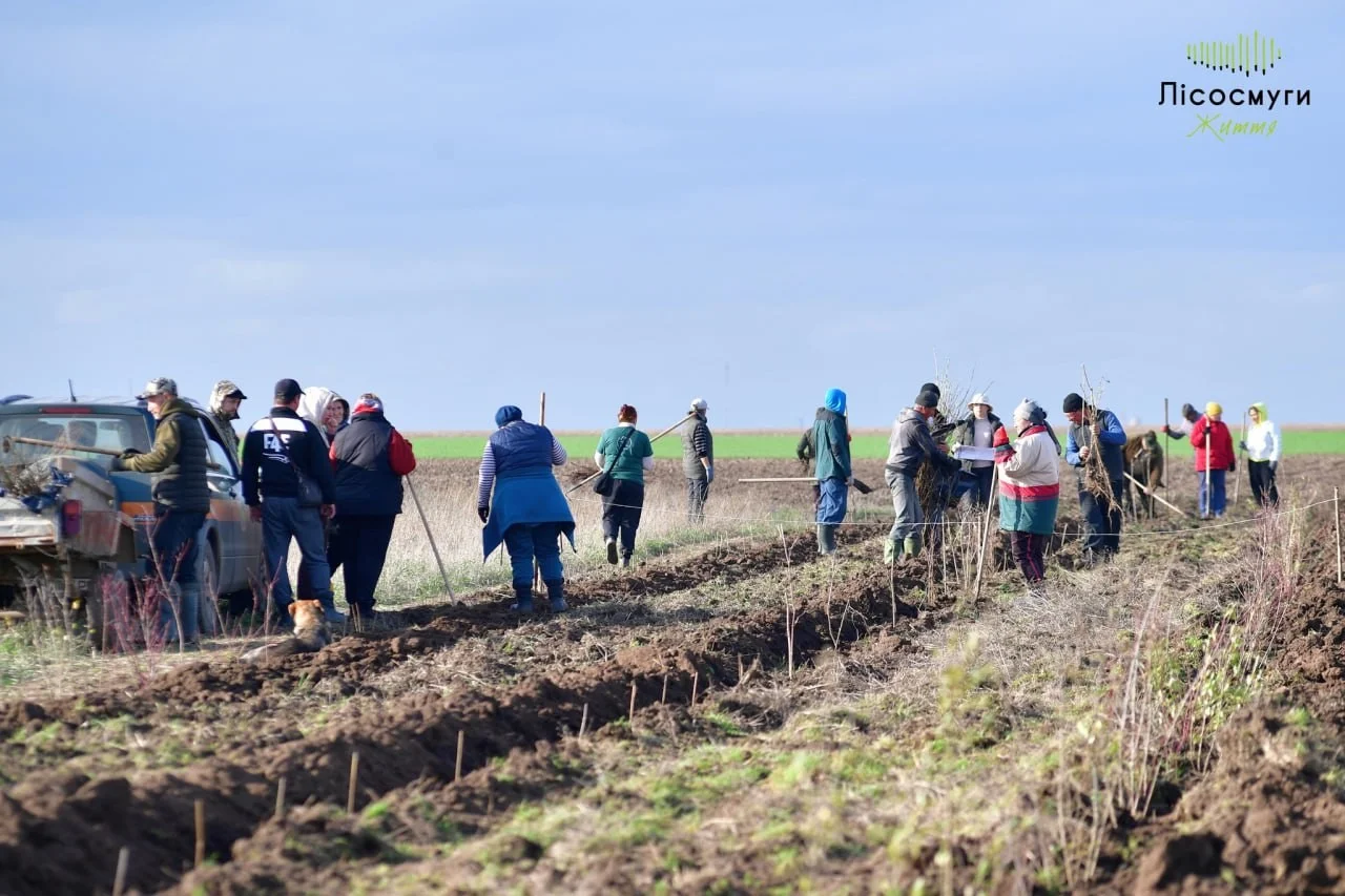 Ізмаїльський архів переходить у цифрову епоху: генеалогічні документи з’являться онлайн